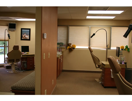 Treatment Area